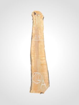 Jabloň 50/52 mm - 12