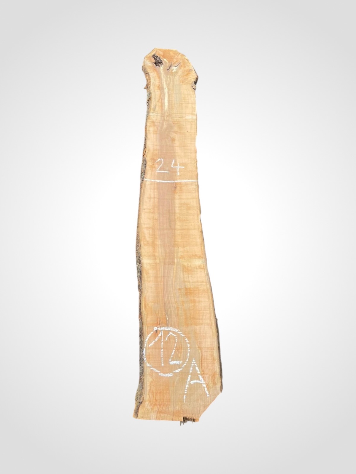 Jabloň 50/52 mm - 12