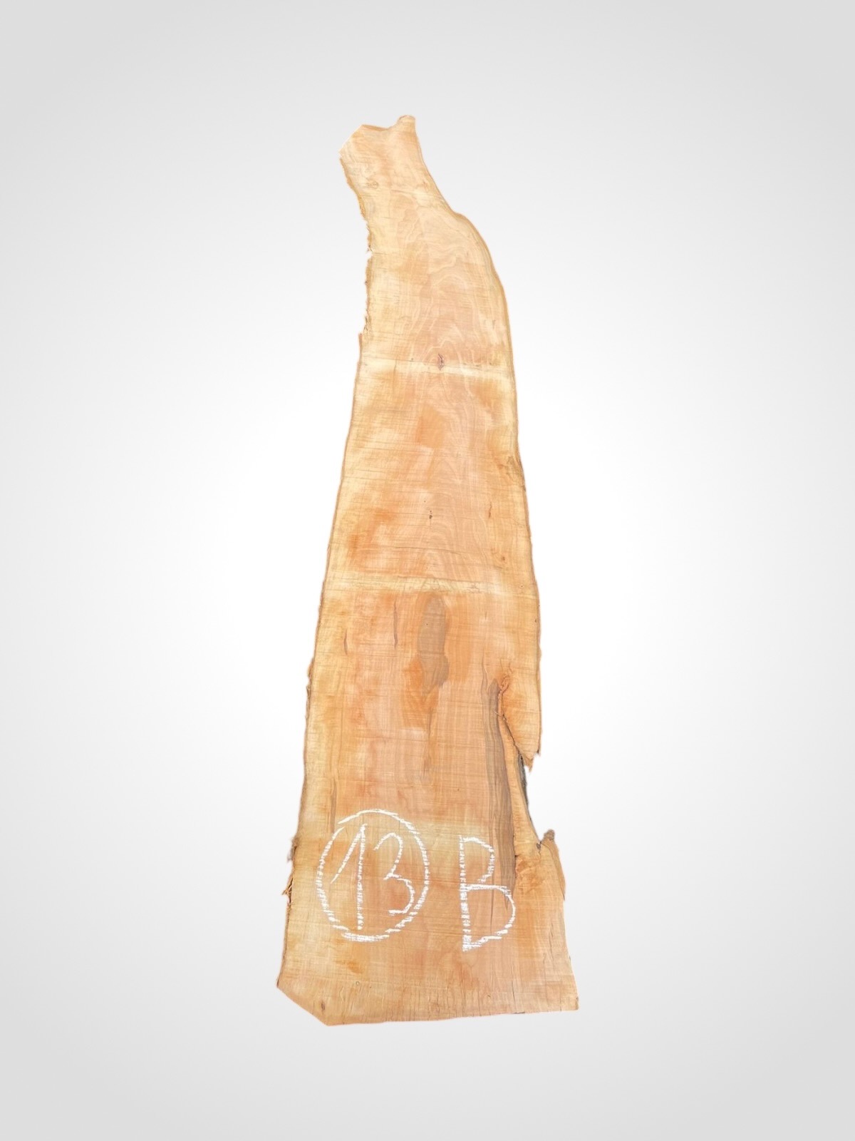 Jabloň 50/52 mm - 13