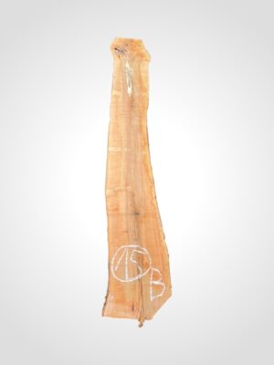 Jabloň 50/52 mm - 15