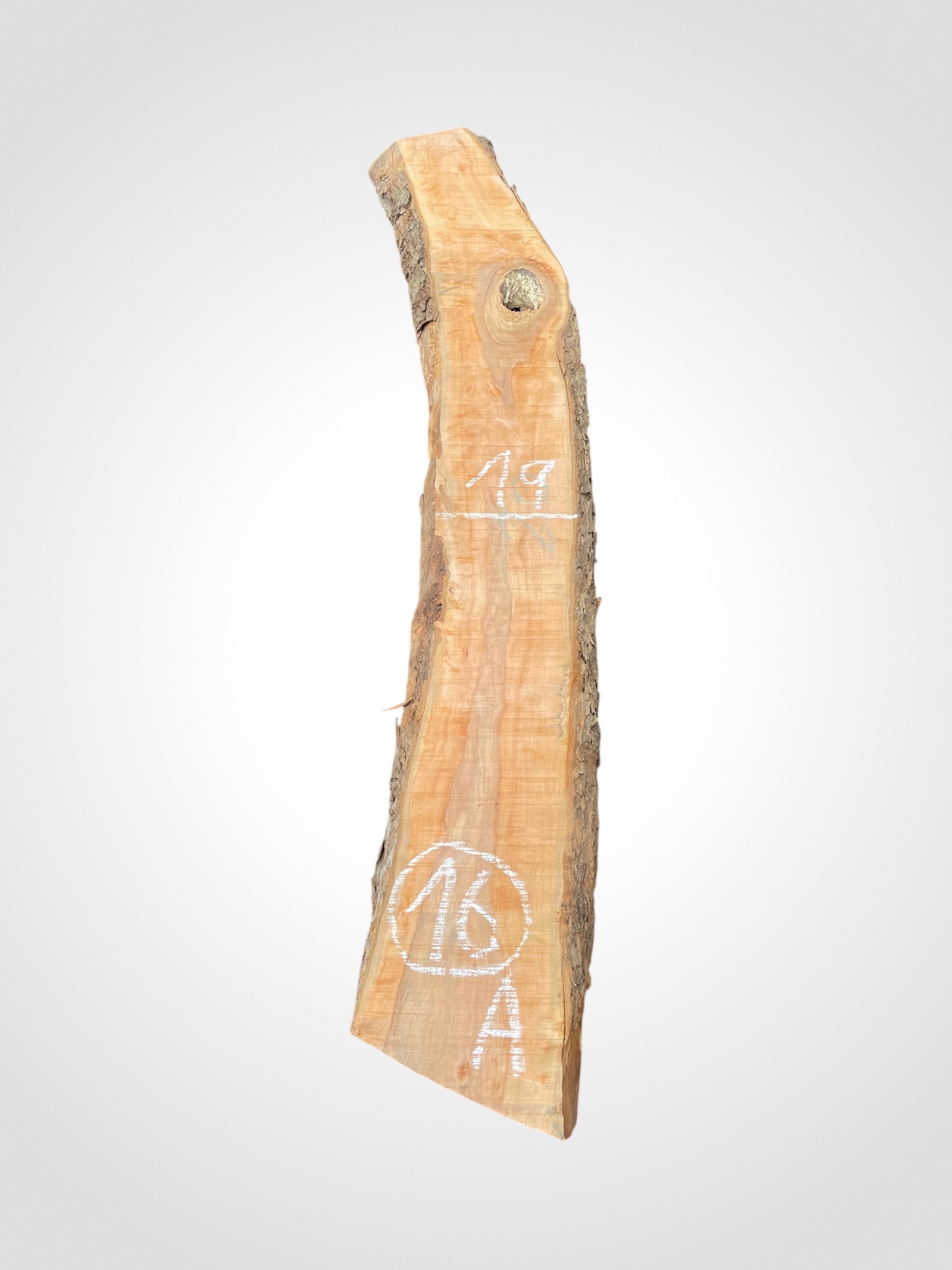 Jabloň 50/52 mm - 16