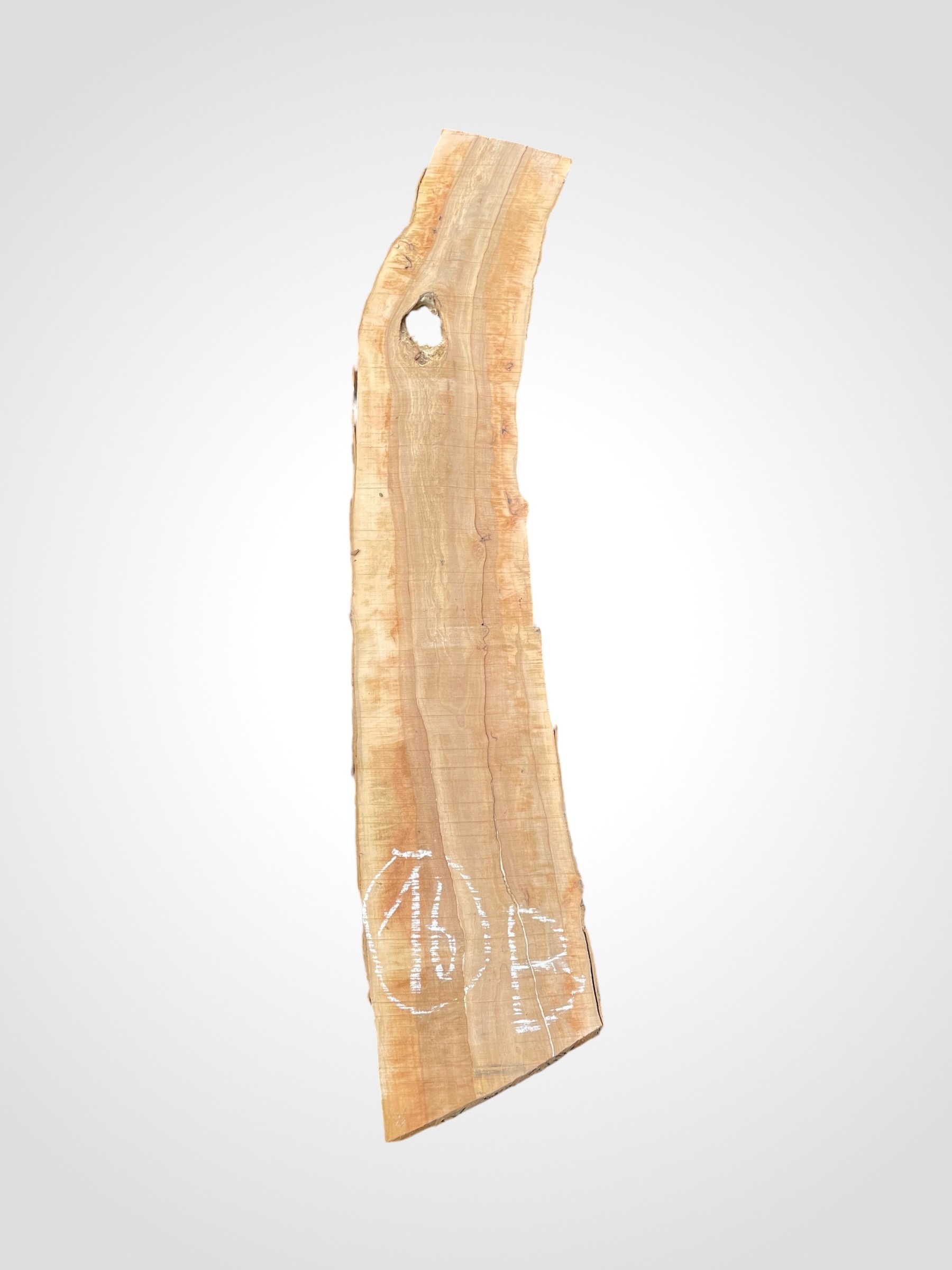 Jabloň 50/52 mm - 16