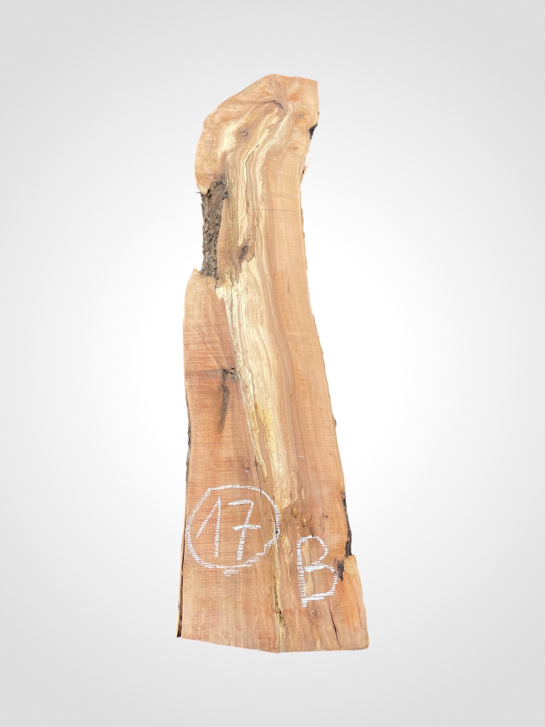 Jabloň 50/52 mm - 17