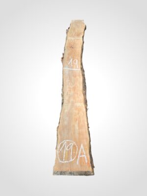 Jabloň 50/52 mm - 19