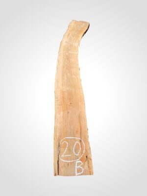 Jabloň 50/52 mm - 20