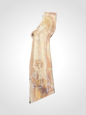 Jabloň 50/52 mm - 21