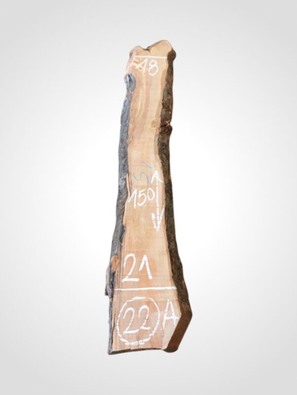 Jabloň 50/52 mm - 22