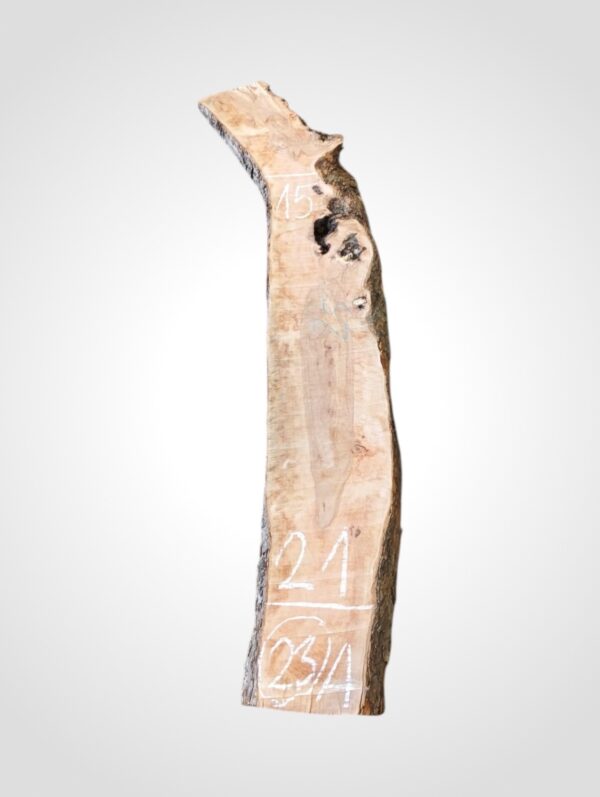 Jabloň 50/52 mm - 23