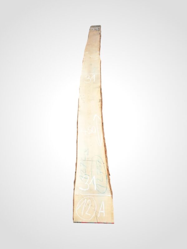 Javor rýglový 33 mm - 12