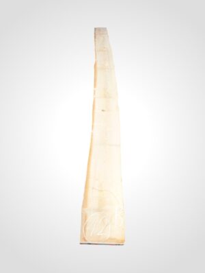 Javor rýglový 33 mm - 12