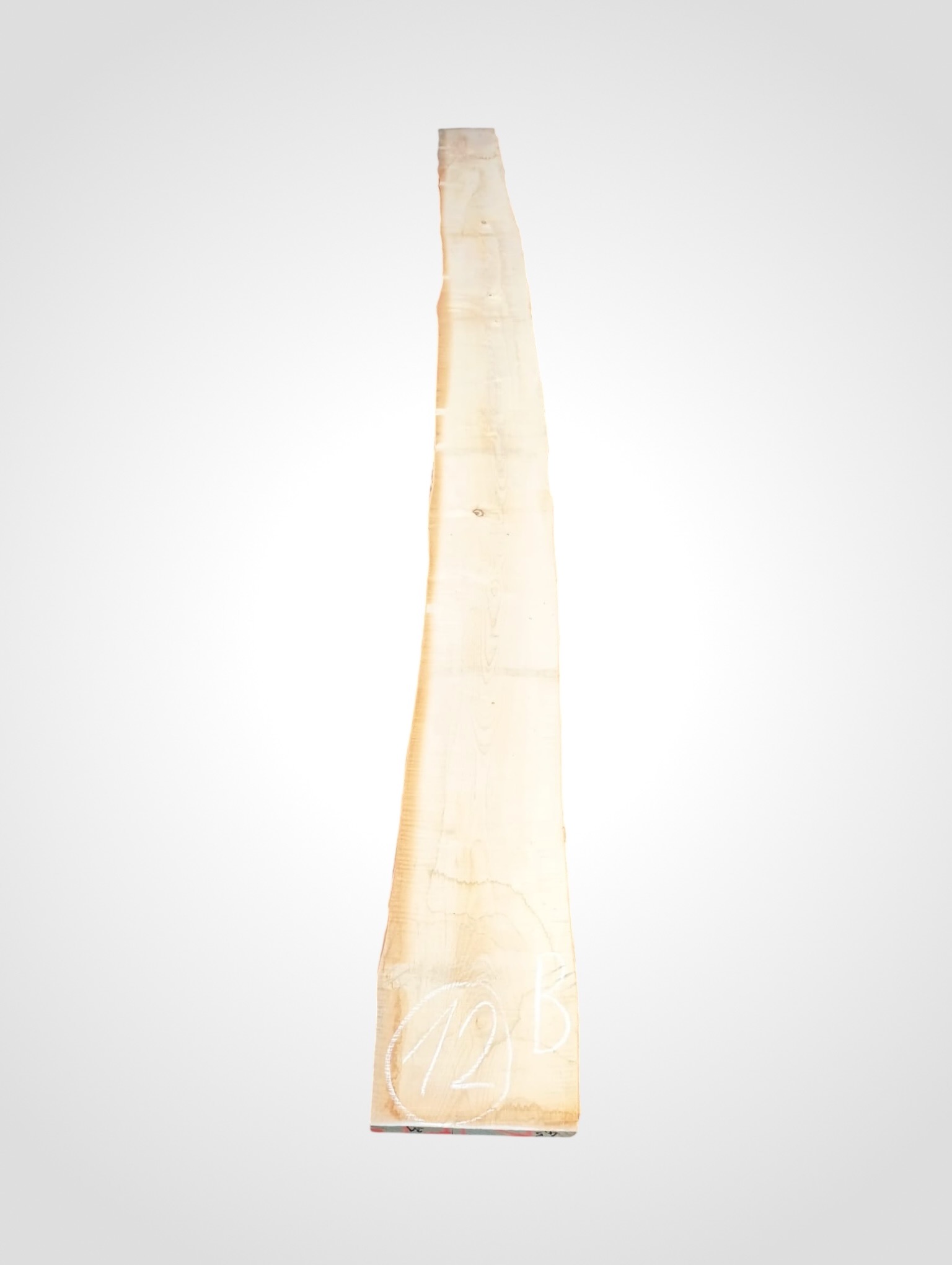 Javor rýglový 33 mm - 12