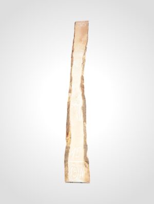 Javor rýglový 33 mm - 13