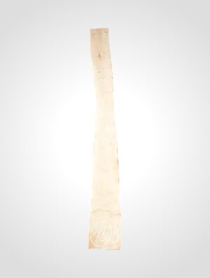 Javor rýglový 33 mm - 13