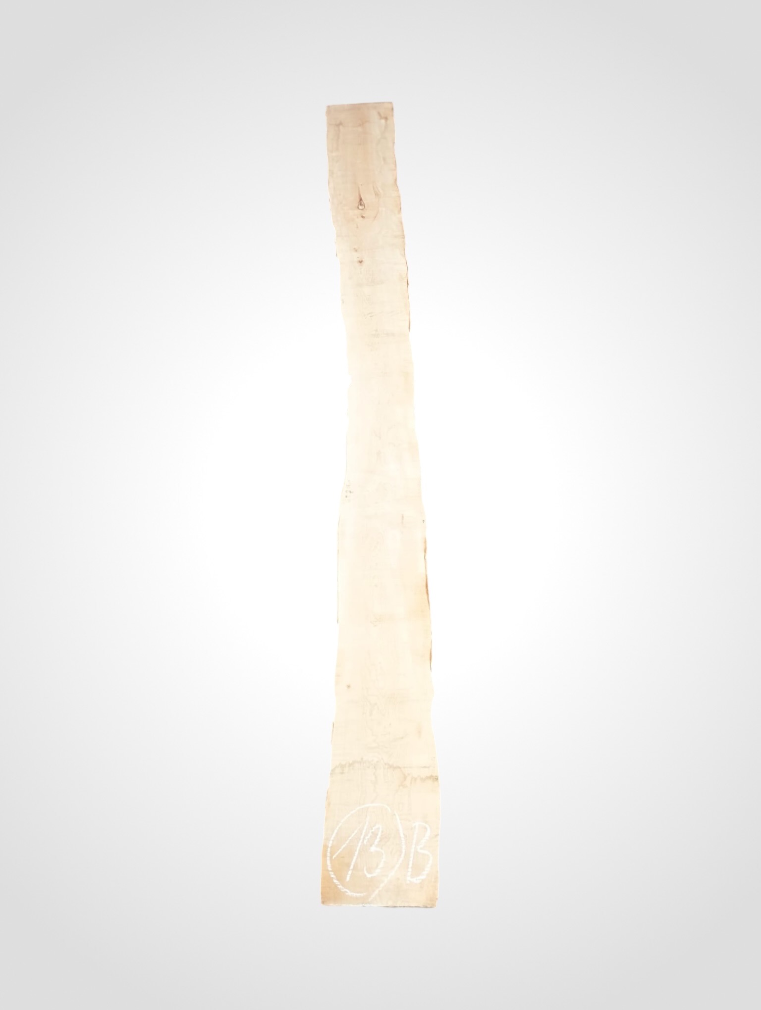 Javor rýglový 33 mm - 13