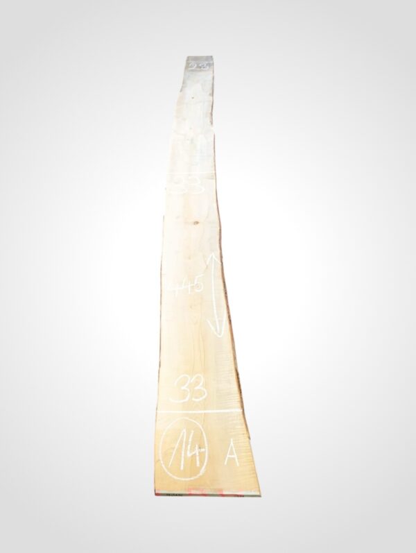 Javor rýglový 33 mm - 14