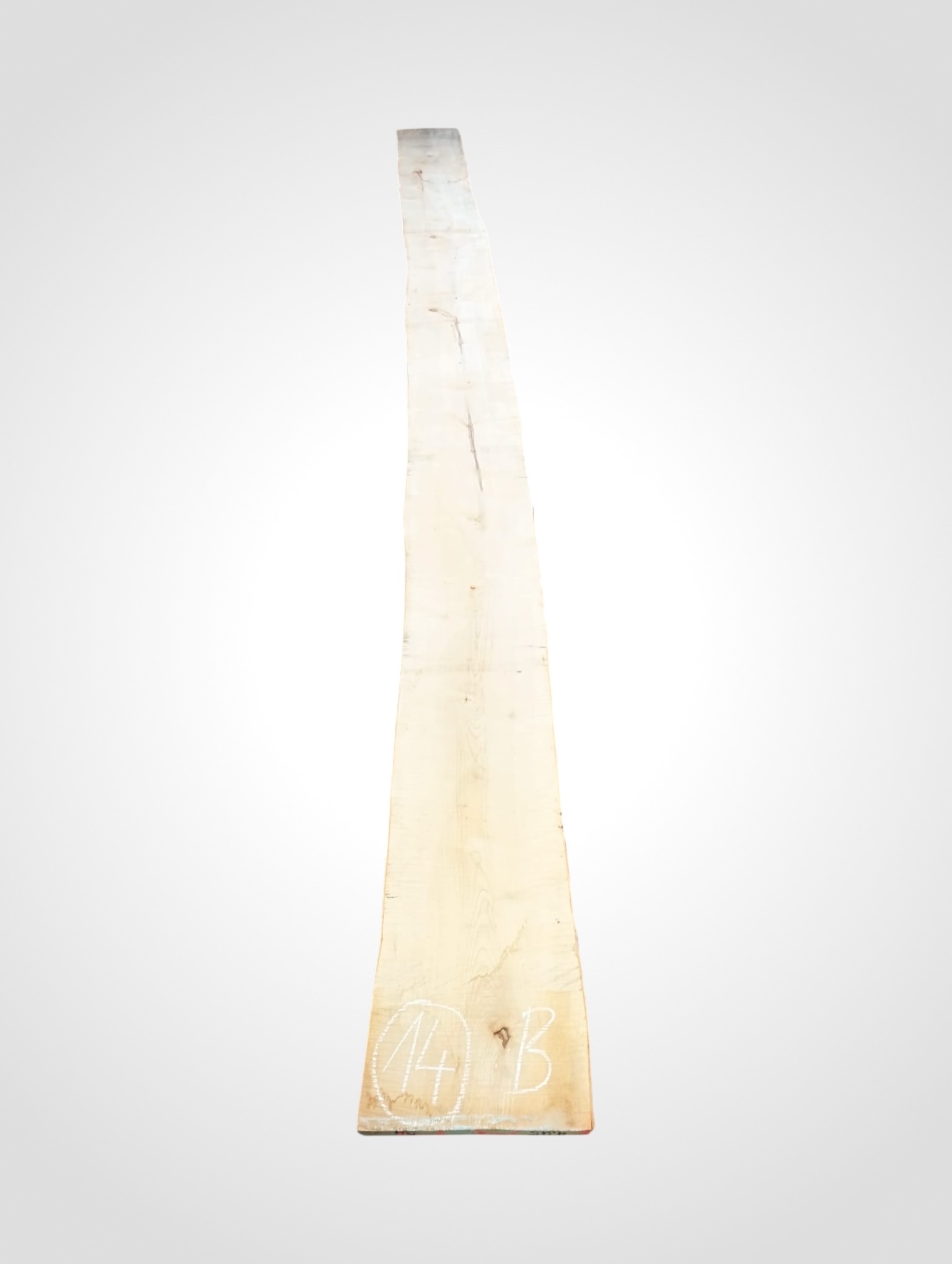 Javor rýglový 33 mm - 14