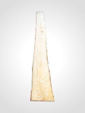 Javor rýglový 33 mm - 15