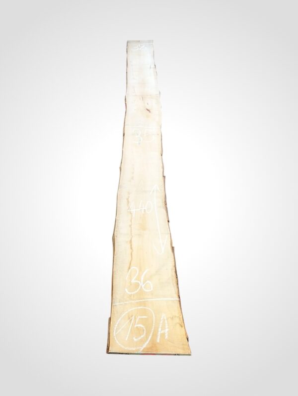 Javor rýglový 33 mm - 15