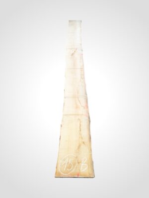 Javor rýglový 33 mm - 15