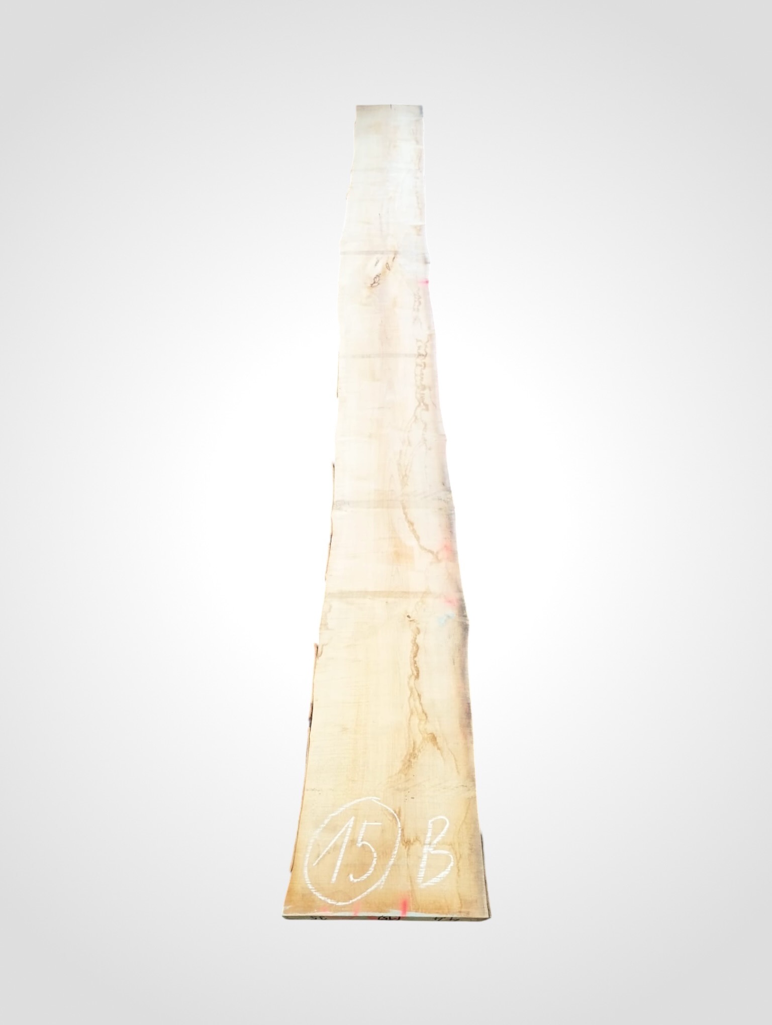 Javor rýglový 33 mm - 15