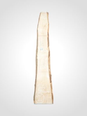 Javor rýglový 33 mm - 2