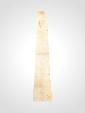 Javor rýglový 33 mm - 2