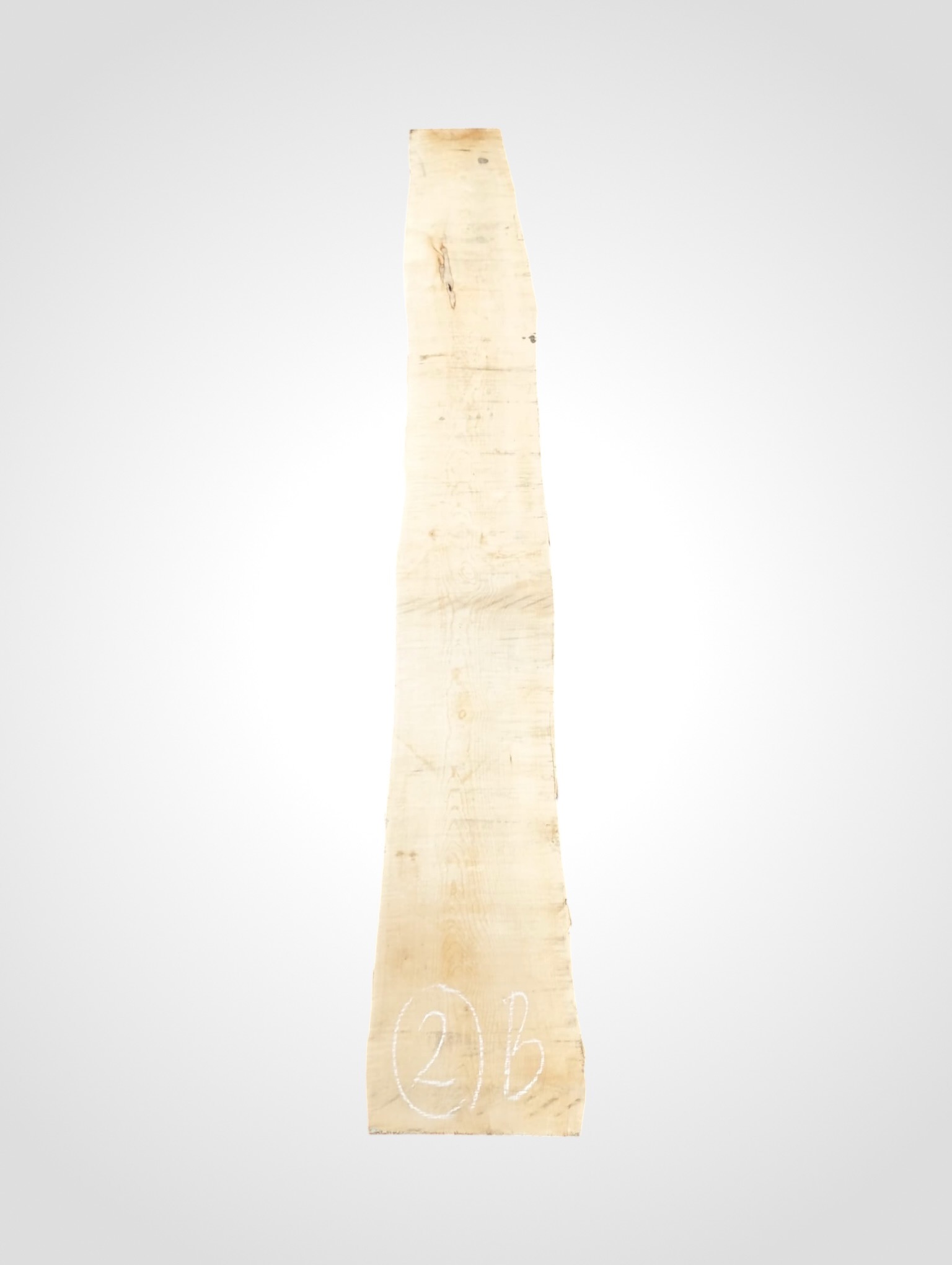 Javor-ryglovy-33-2b Javor rýglový 33 mm - 2