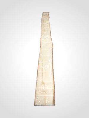 Javor rýglový 33 mm - 3