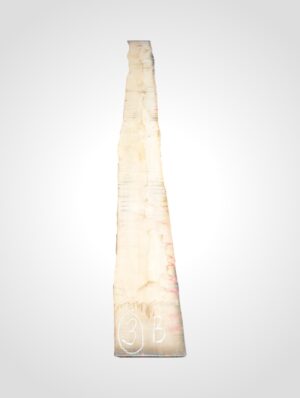 Javor rýglový 33 mm - 3