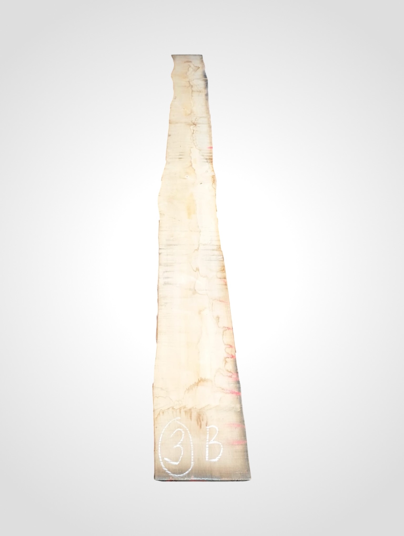 Javor-ryglovy-33-3b Javor rýglový 33 mm - 3