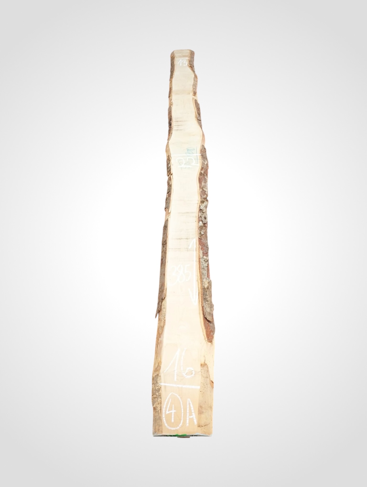 Javor-ryglovy-33-4a Javor rýglový 33 mm - 4