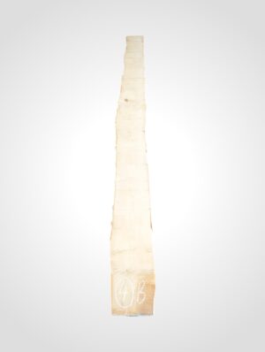 Javor rýglový 33 mm - 4