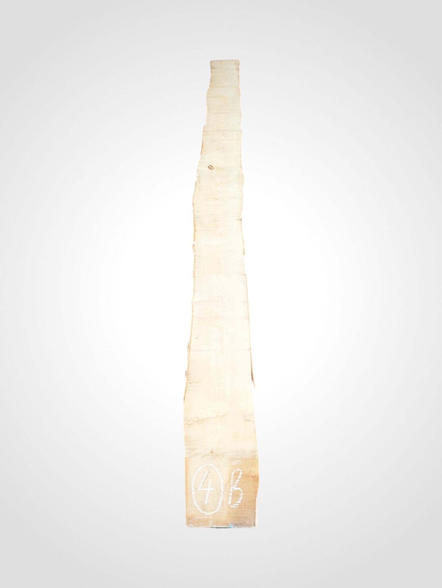 Javor-ryglovy-33-4b Javor rýglový 33 mm - 4