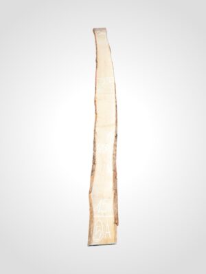 Javor rýglový 33 mm - 5