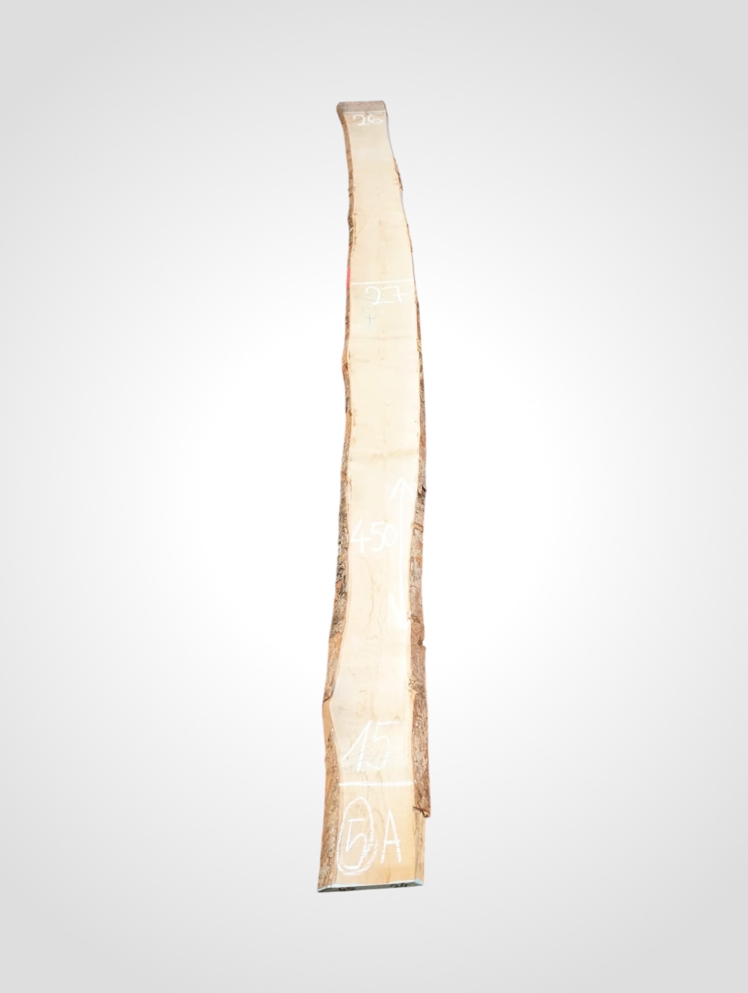 Javor-ryglovy-33-5a Javor rýglový 33 mm - 5