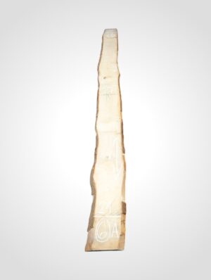 Javor rýglový 33 mm - 6