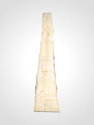 Javor rýglový 33 mm - 7