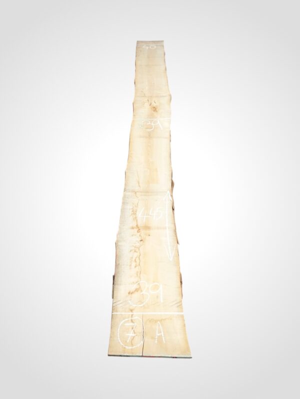 Javor rýglový 33 mm - 7