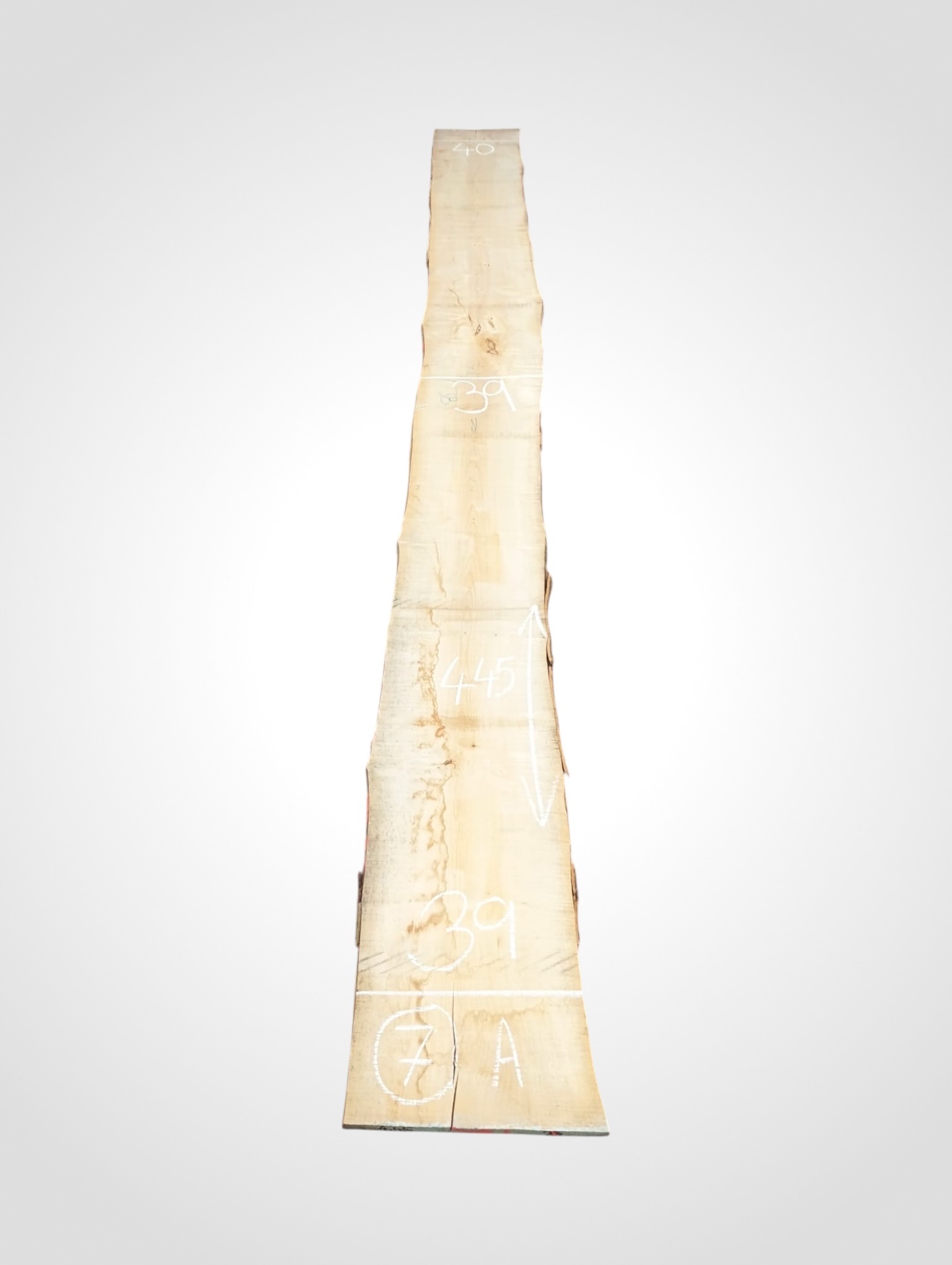 Javor-ryglovy-33-7a Javor rýglový 33 mm - 7