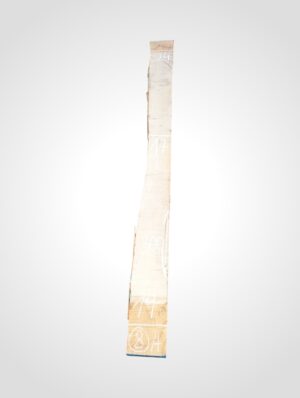 Javor rýglový 33 mm - 8