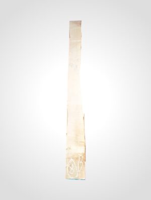 Javor rýglový 33 mm - 8