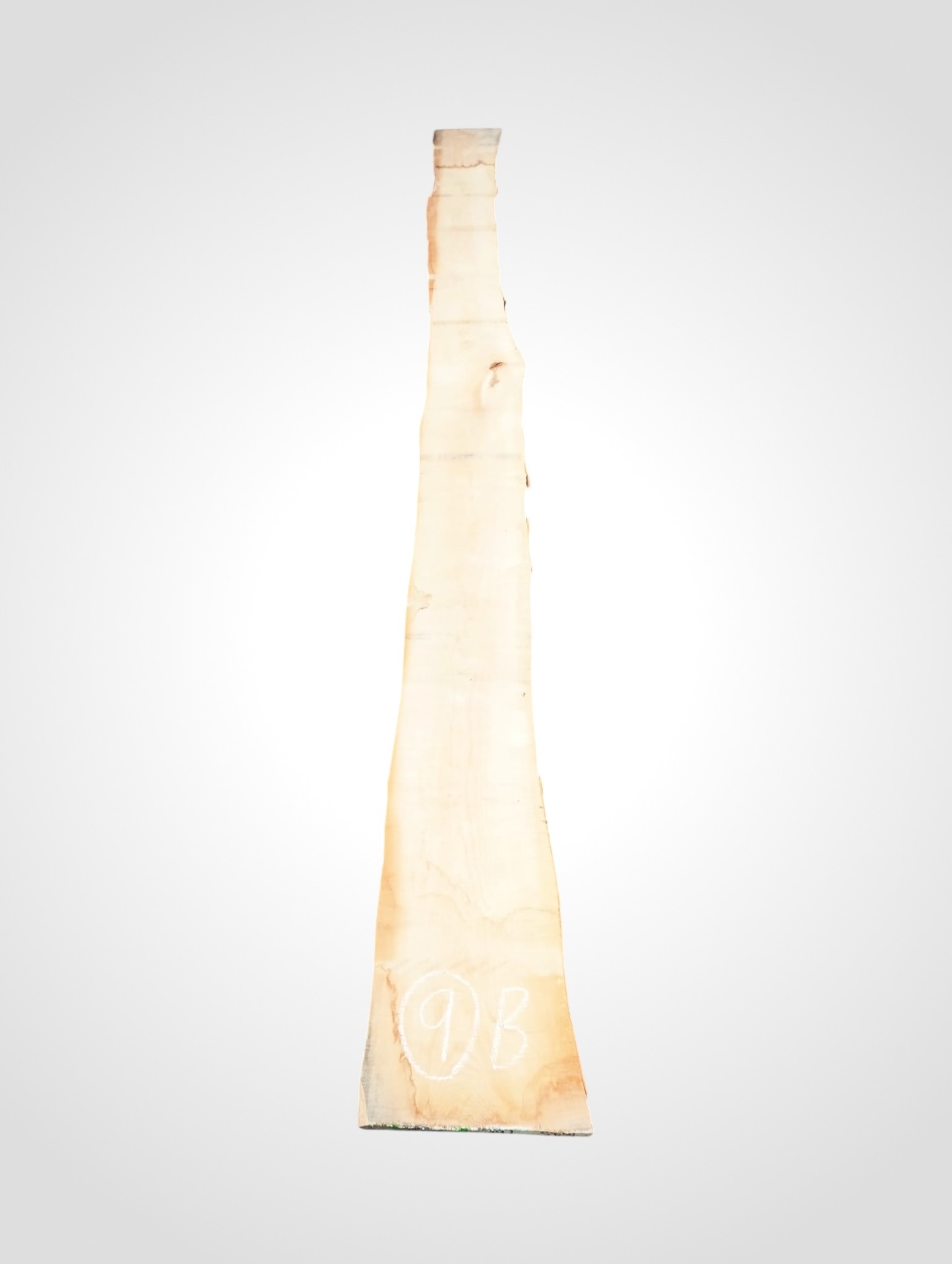 Javor-ryglovy-33-9b Javor rýglový 33 mm - 9