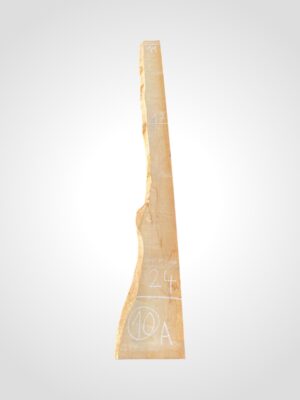 Javor rýglový 50/52 mm - 10