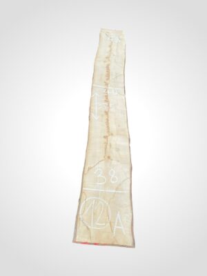 Javor rýglový 50/52 mm - 12