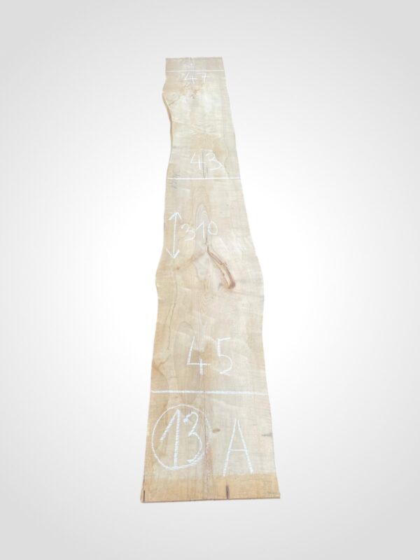 Javor rýglový 50/52 mm - 13