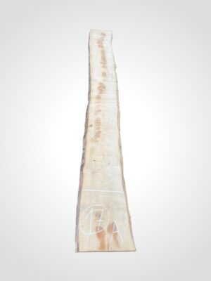 Javor rýglový 50/52 mm - 17