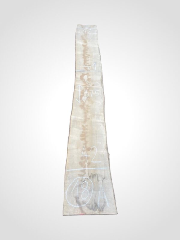 Javor rýglový 50/52 mm - 18