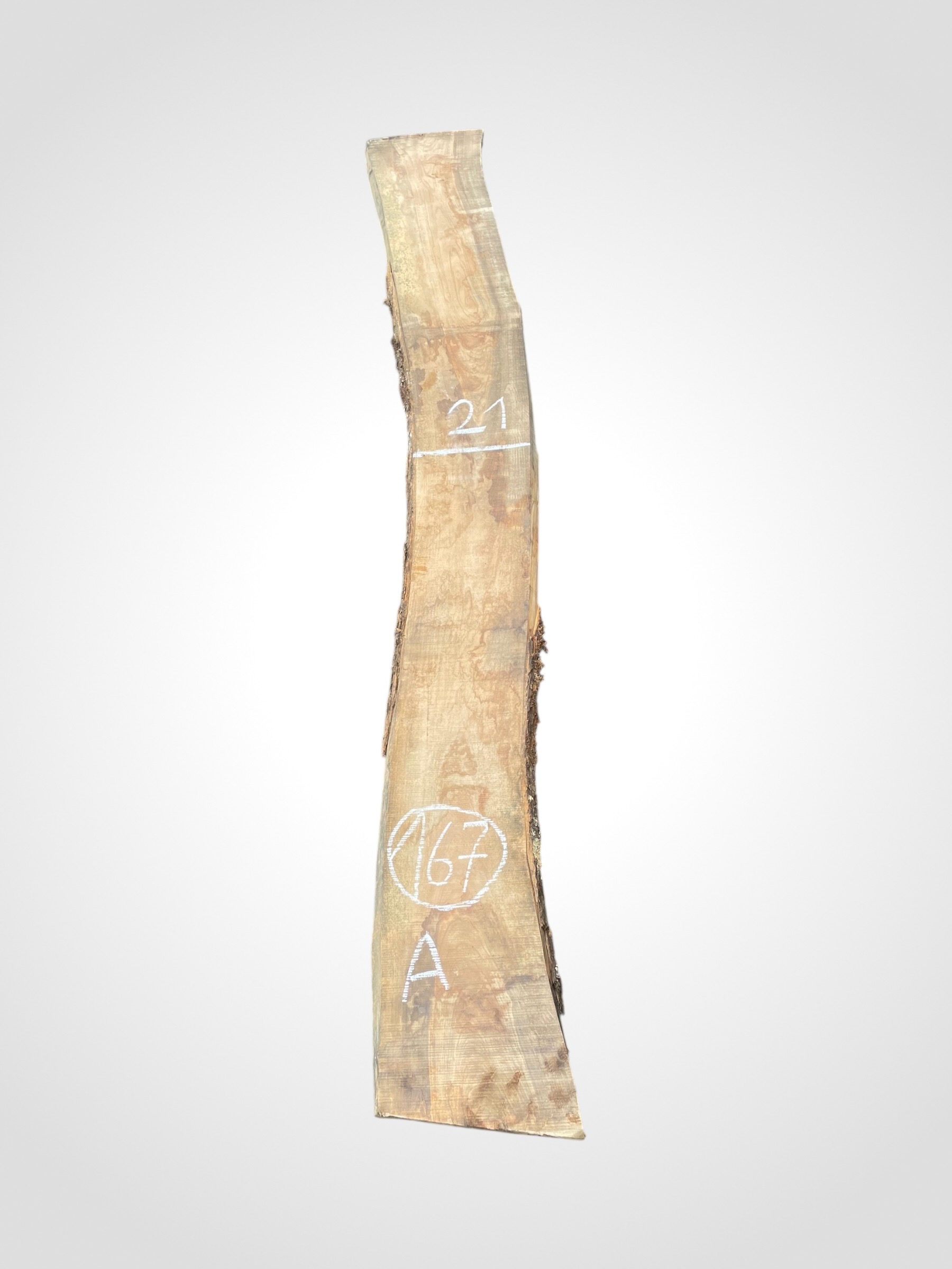 Oliva-32-167a Oliva 32 mm - 167