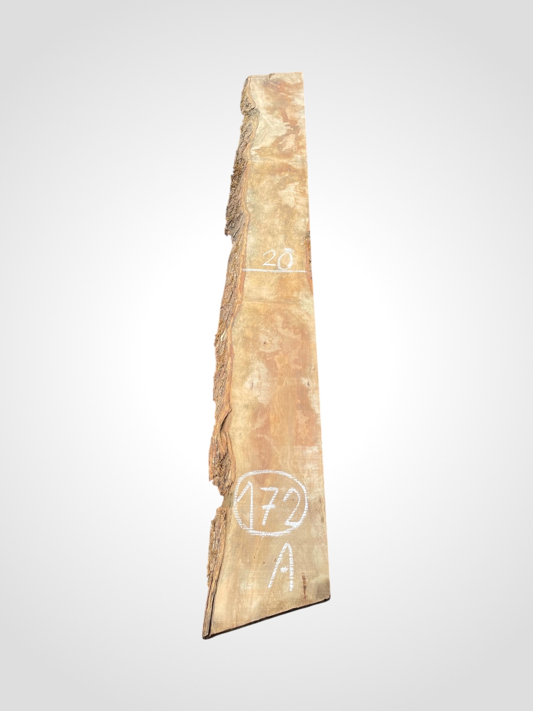 Oliva-32-172a Oliva 32 mm - 172