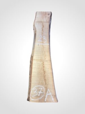 Ořech vlašský 50/52 mm - 37